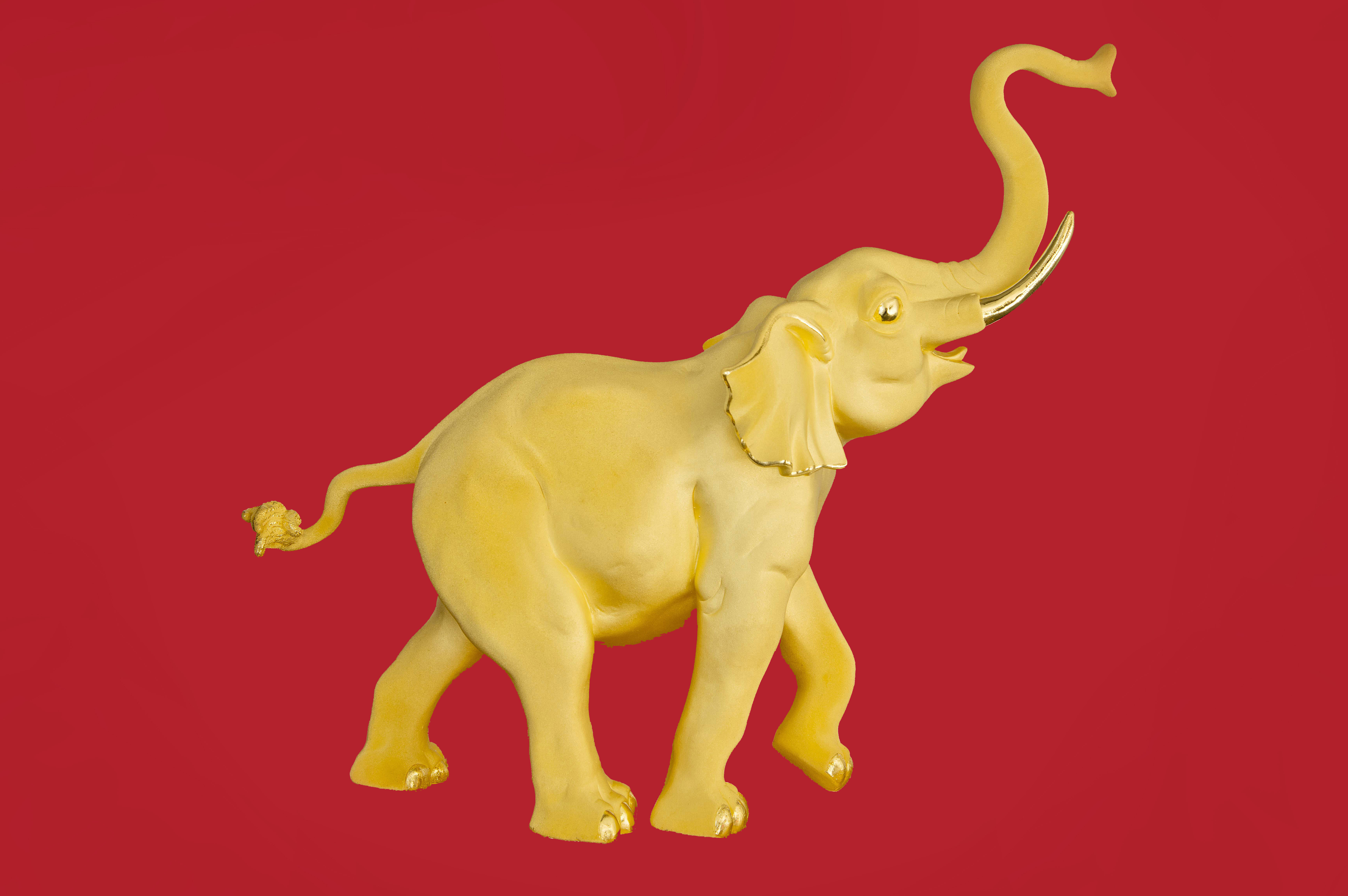 實干爭先 龍騰奮起——巨人集團殊榮連連 實干爭先 龍騰奮起——巨人集團殊榮連連